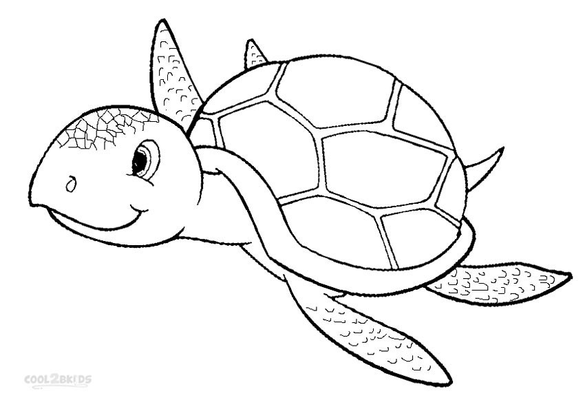 Realistic Turtle Coloring Pages