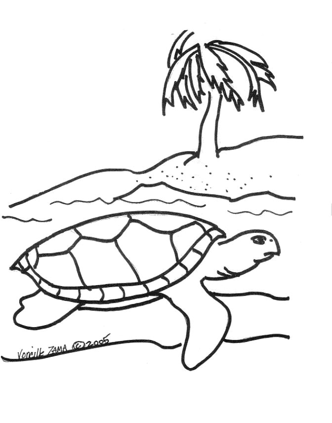 672x856 Sea Turtle Coloring Pages
