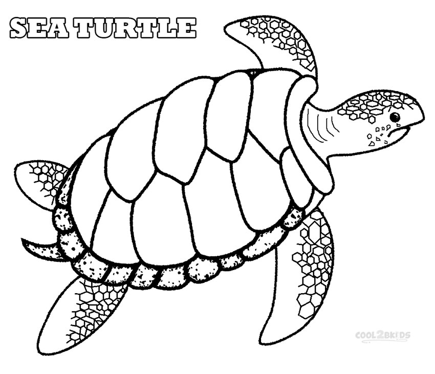 850x731 Sea Turtle Coloring Pages To Print