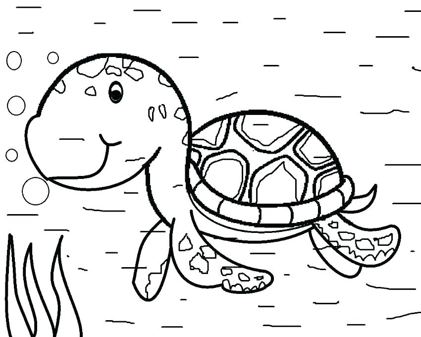 850x680 Green Sea Turtle Colouring Pages Coloring Pages Of Sea Turtles Old