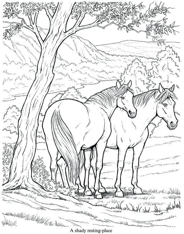 607x770 Horse Coloring Sheet Realistic Wild Pages 0 Printable 32450