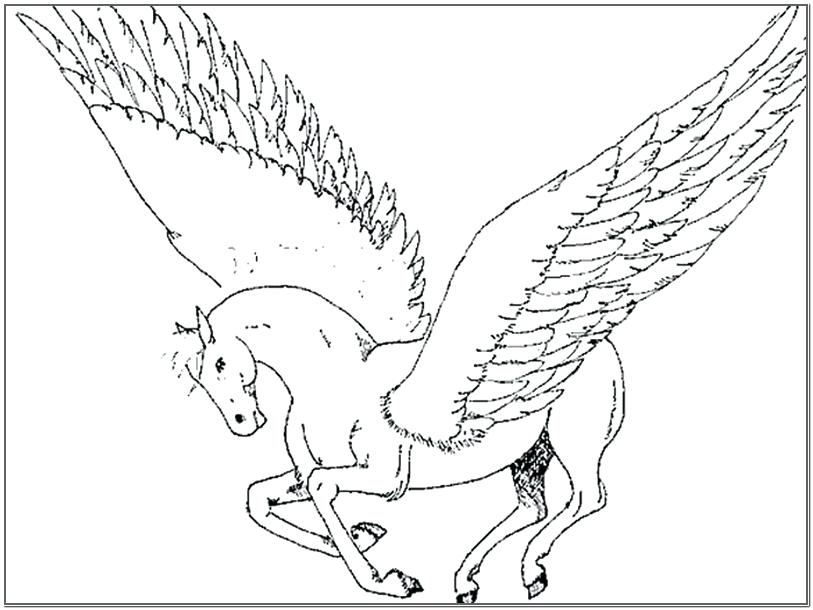 813x610 Realistic Unicorn Coloring Sheets Plus Realistic Coloring Pages