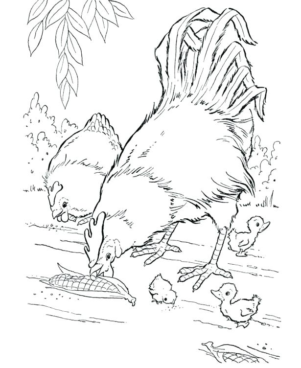 615x752 Wild Animals Coloring Pages Animal Coloring Page Animals Coloring