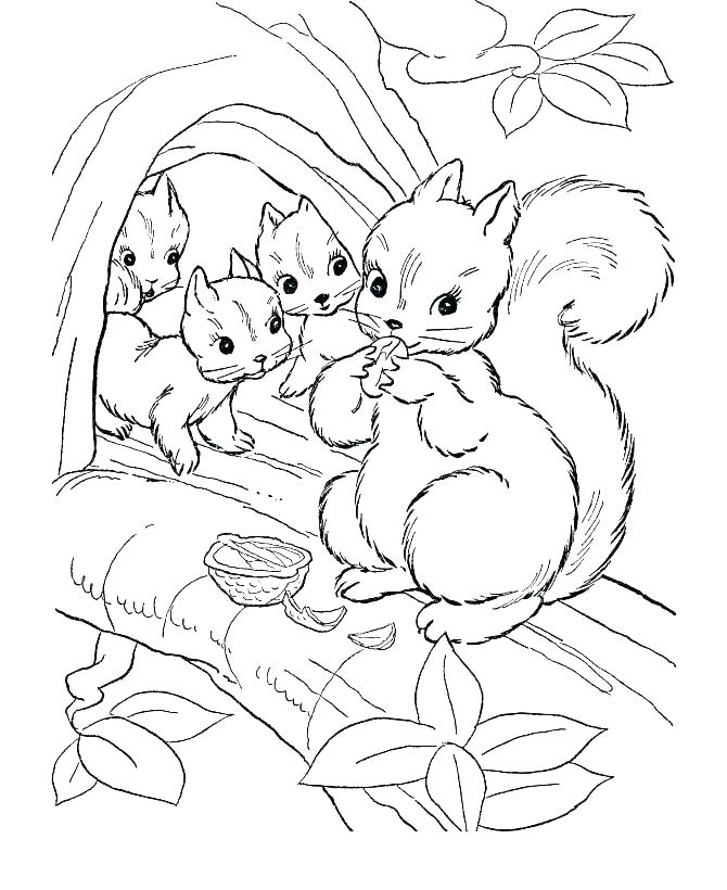 670x820 Wild Animals Coloring Pages Wild Animal Safari Coloring Pages
