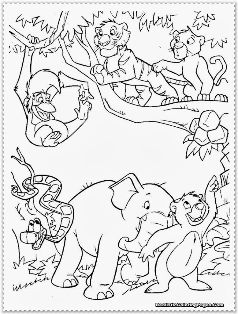 778x1024 Ba Jungle Animals Coloring Pages In Animal Linefa Jungle Animals