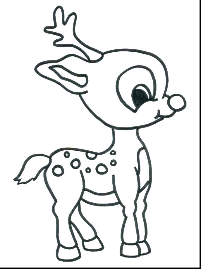 687x916 Realistic Animal Coloring Pages In Addition To Wild Animals