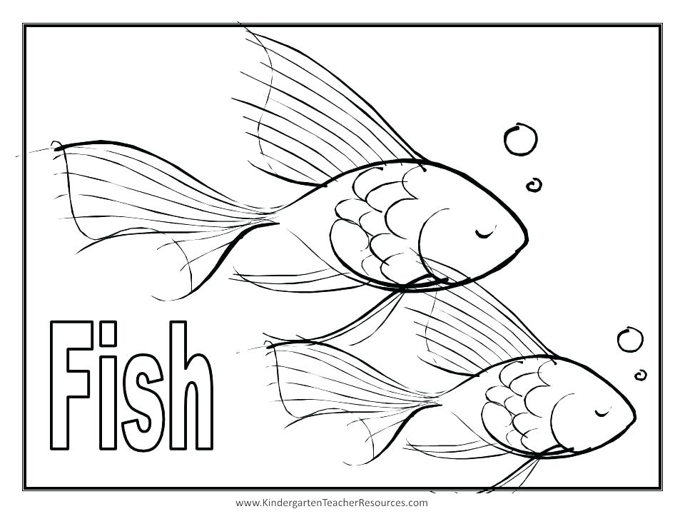 960x720 Realistic Animal Coloring Pages Top Rated Wildlife Coloring Pages