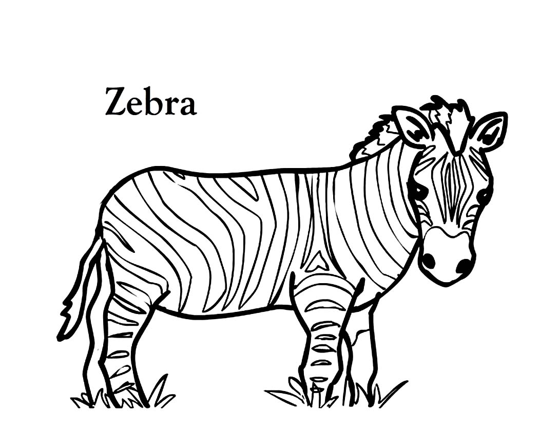 1050x866 Liberal Zebra Picture To Color Magic Coloring Sheet Emerging