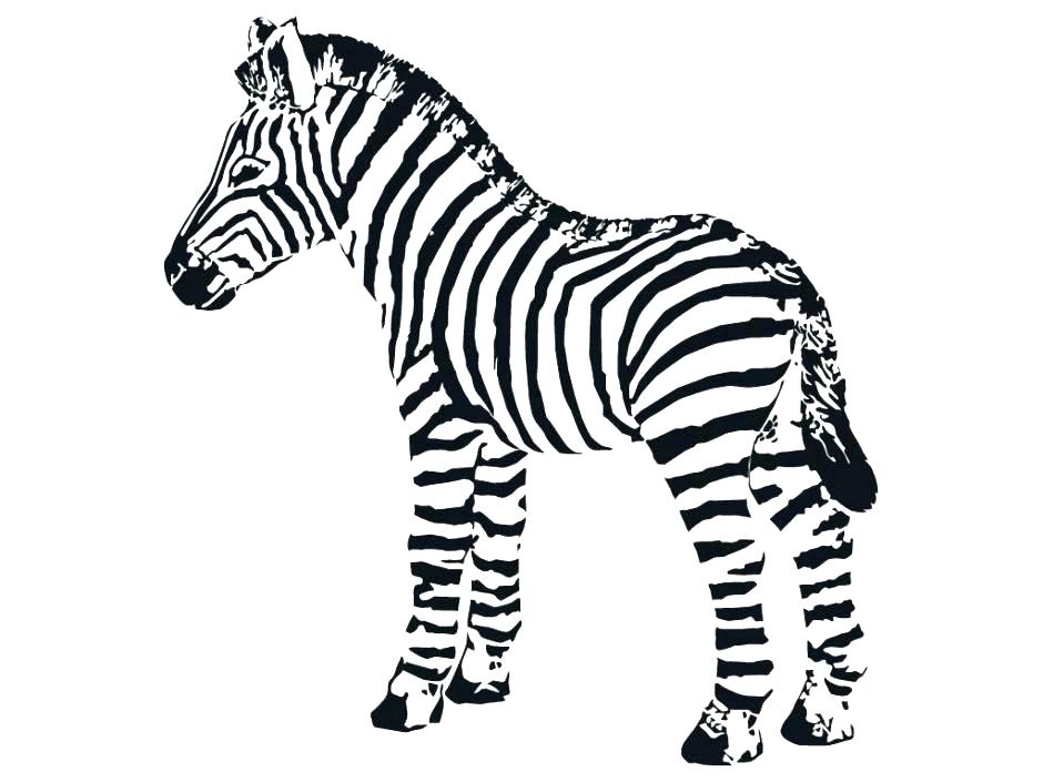 940x705 Zebra Coloring Pages Baby Zebra Coloring Pages Baby Zebra Coloring