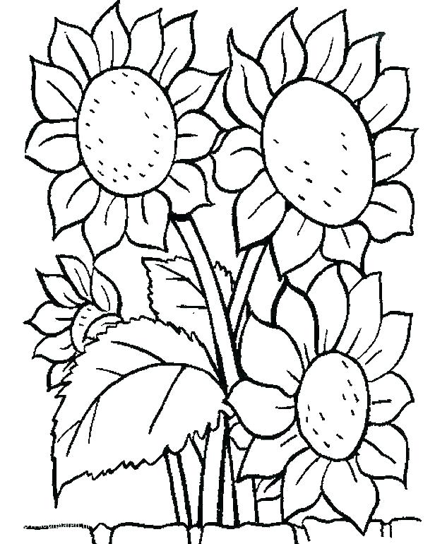 616x770 Hard Flower Coloring Pages Cool Flower Coloring Pages Hard