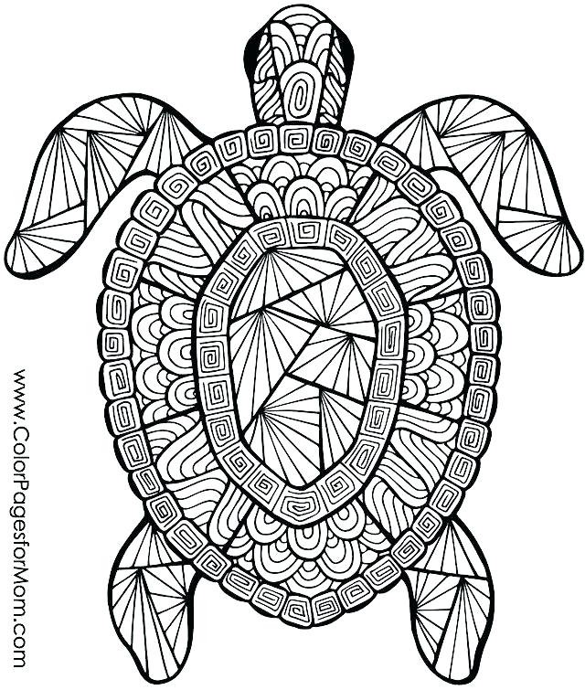 640x755 Hard Animal Coloring Pages Animal Coloring Page Best Animal