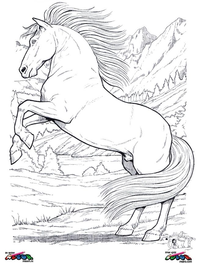 Rearing Horse Coloring Pages