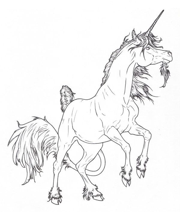 600x708 608 Best Coloring Pages Images On Print Coloring Pages