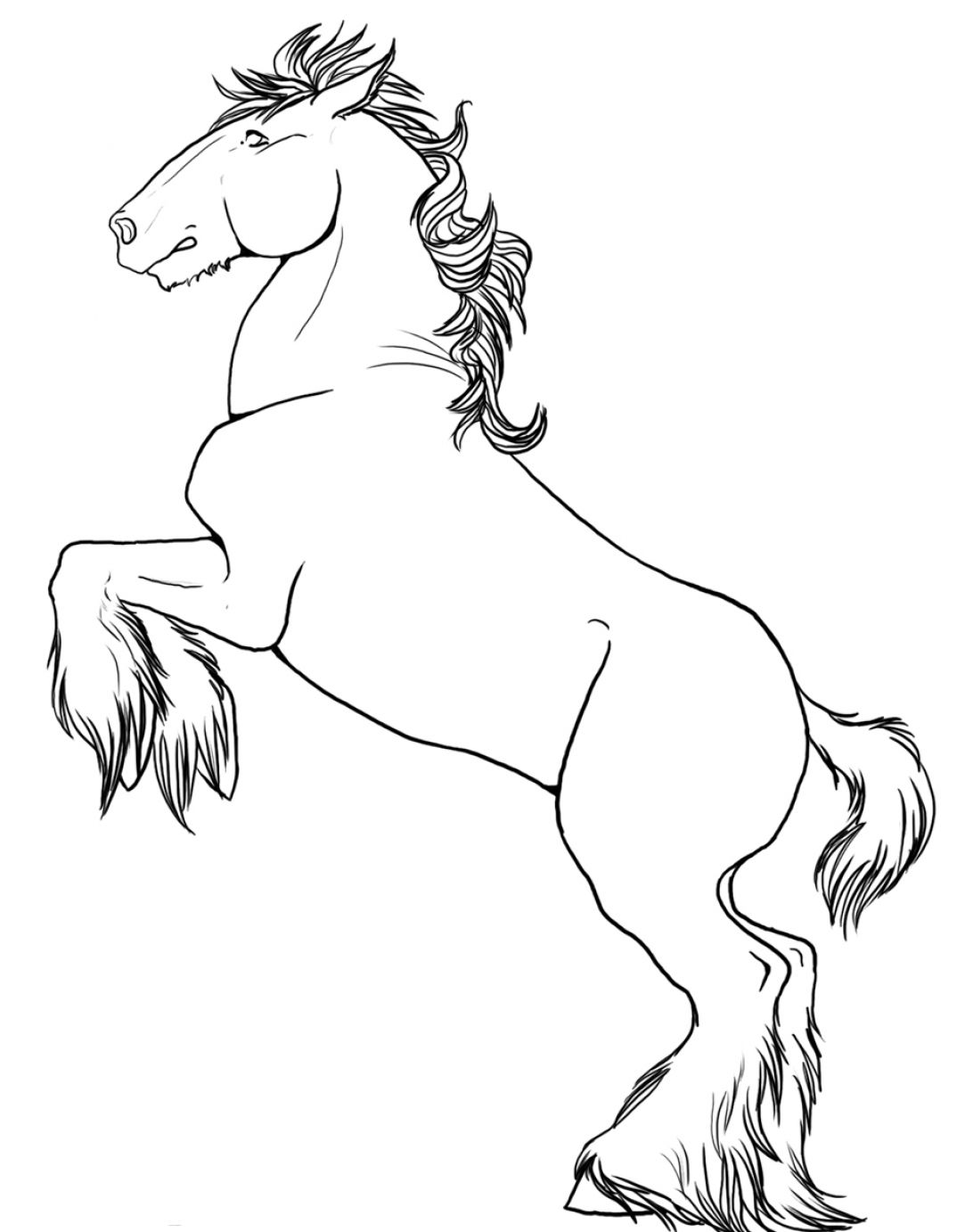 1092x1382 How To Draw A Horse Rearing Pictures Free Coloring Pages