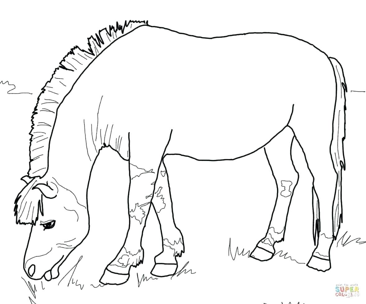 1176x976 Rearing Horse Coloring Page Free Printable Pages Walking In Horses