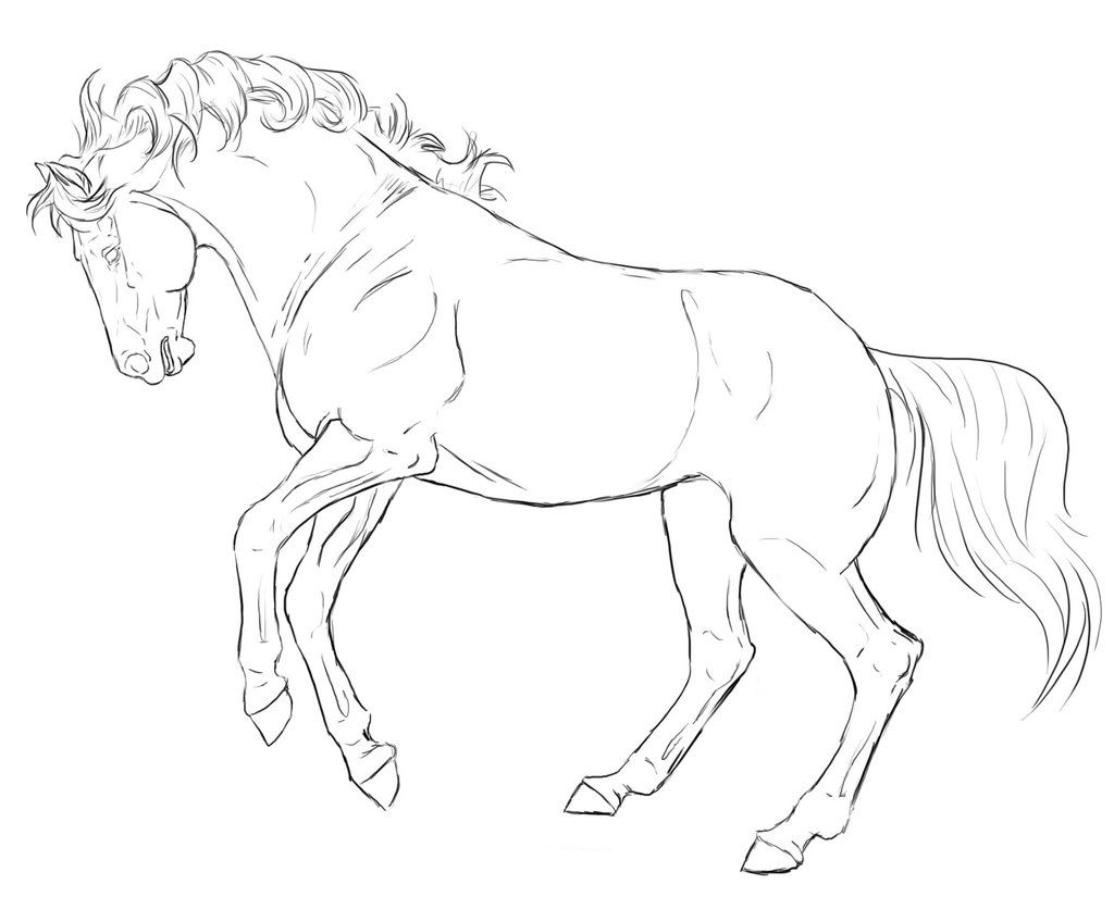 1024x825 Rearing Horse Line Art By