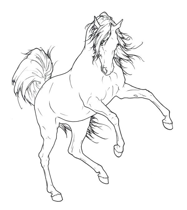 600x674 Arabian Horse Coloring Pages