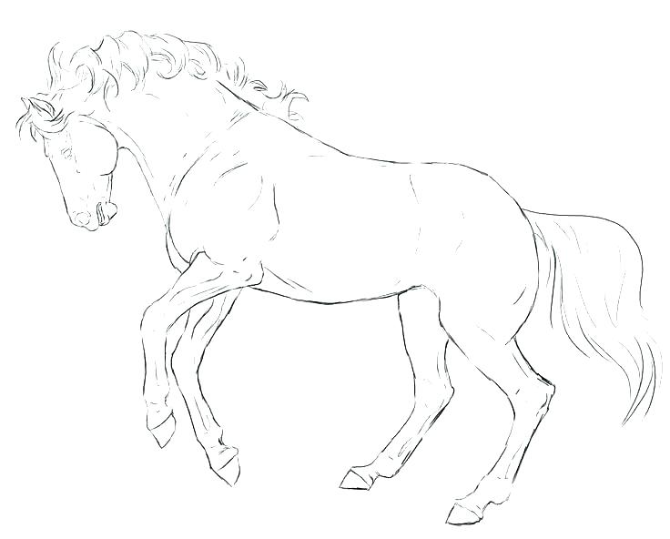 736x592 Breyer Coloring Pages Horse Coloring Pages Coloring Pages Free