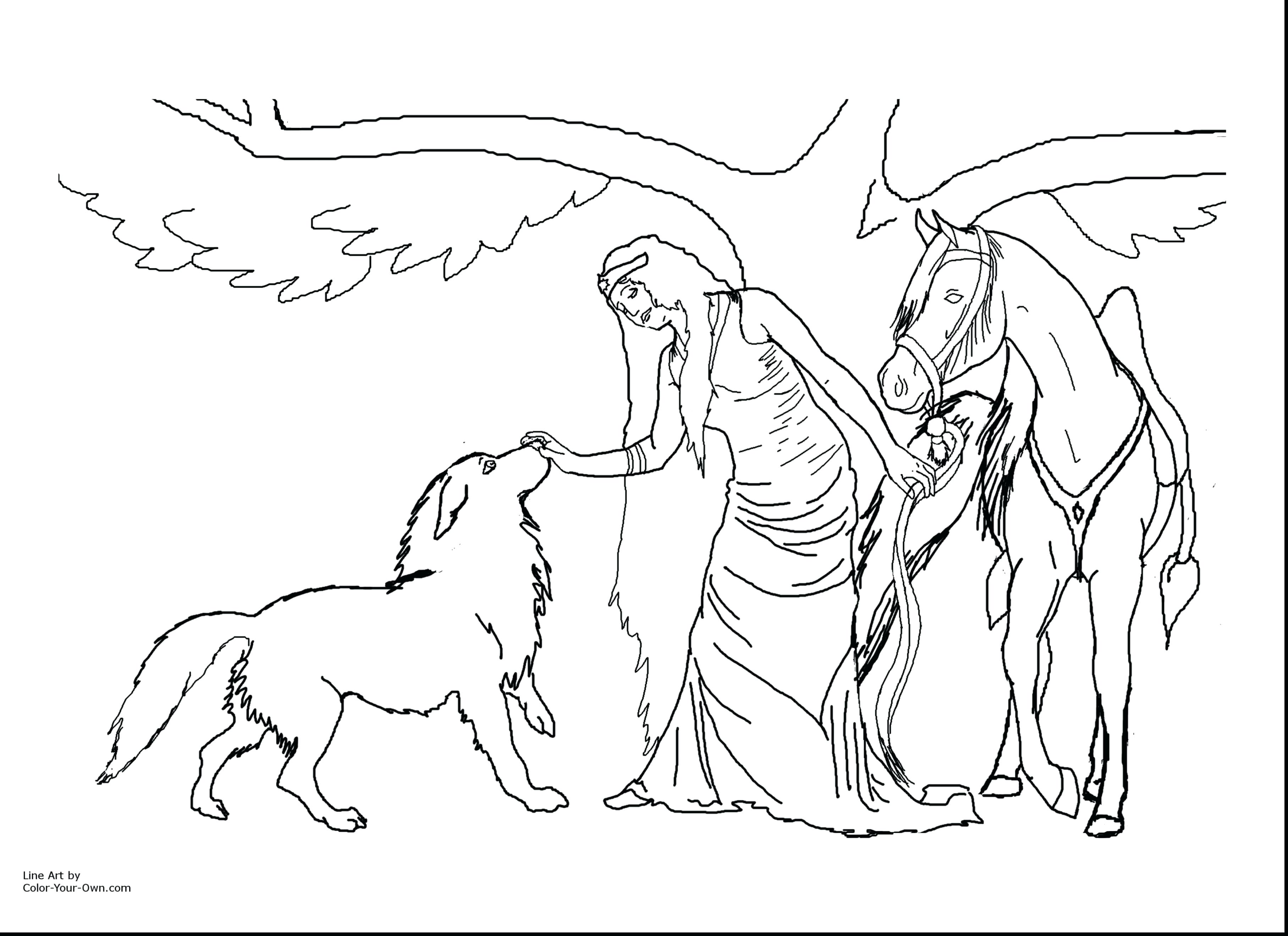 3630x2640 Coloring Pages Online Horse Rearing Pegasus Page Flowers Pdf Best
