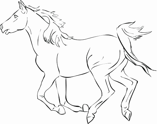 504x397 Horse Coloring Books 97 And Princess Cleaning Her Horse Coloring