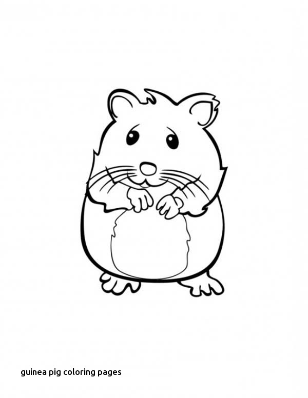600x776 Guinea Pig Coloring Pages