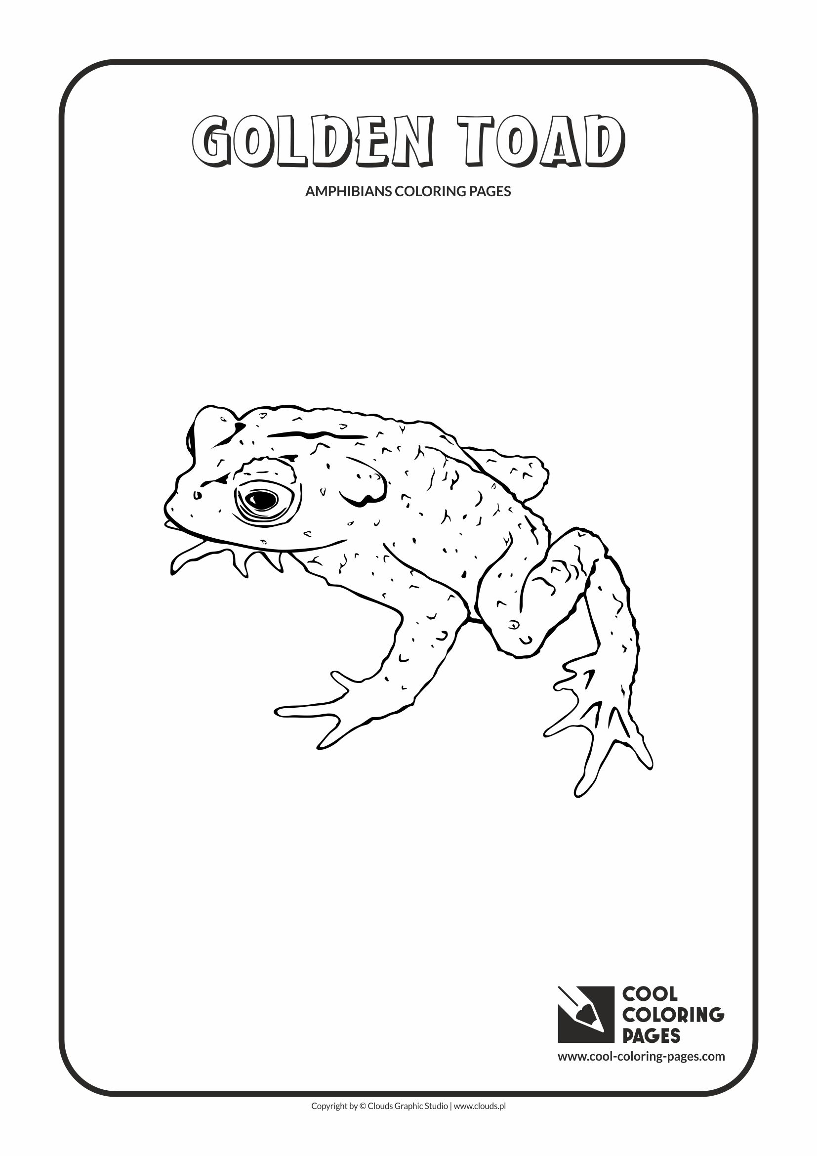 1654x2339 Cool Coloring Pages Amphibians And Reptiles Coloring Pages
