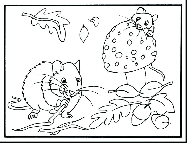 728x560 Fall Coloring Sheets Epic Fall Coloring Pages For Coloring Page