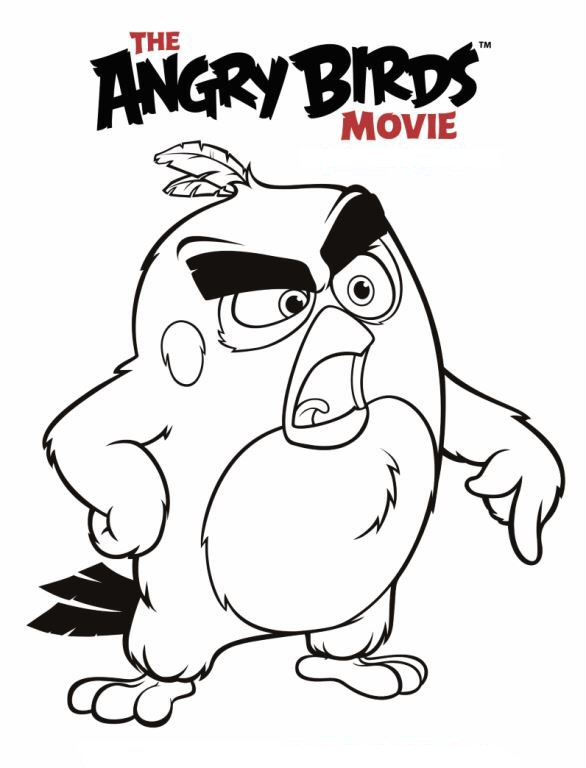 586x768 6 Coloring Pages Of Angry Birds Movie On Kids N Fun.co.uk. On Kids