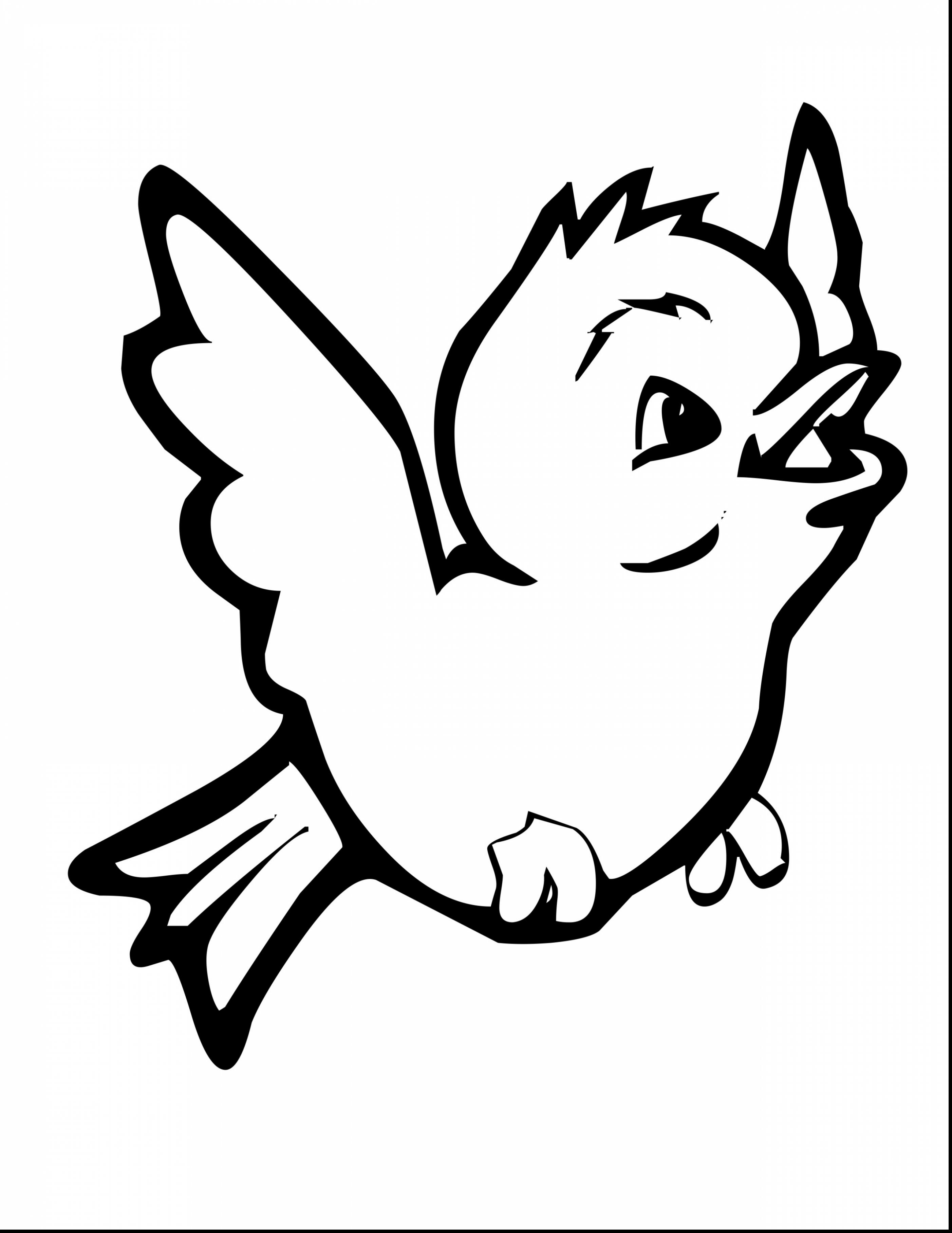 2805x3630 Birds Coloring Pictures