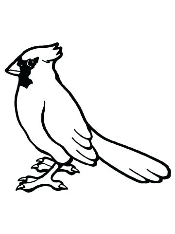 360x480 Cardinal Bird Coloring Page Cardinal Coloring Pages Print Bird