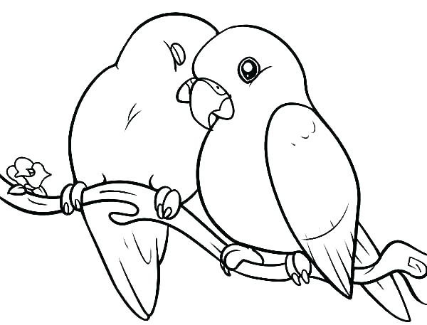 600x457 Cardinal Bird Coloring Page Coloring Page Bird Cardinal Bird