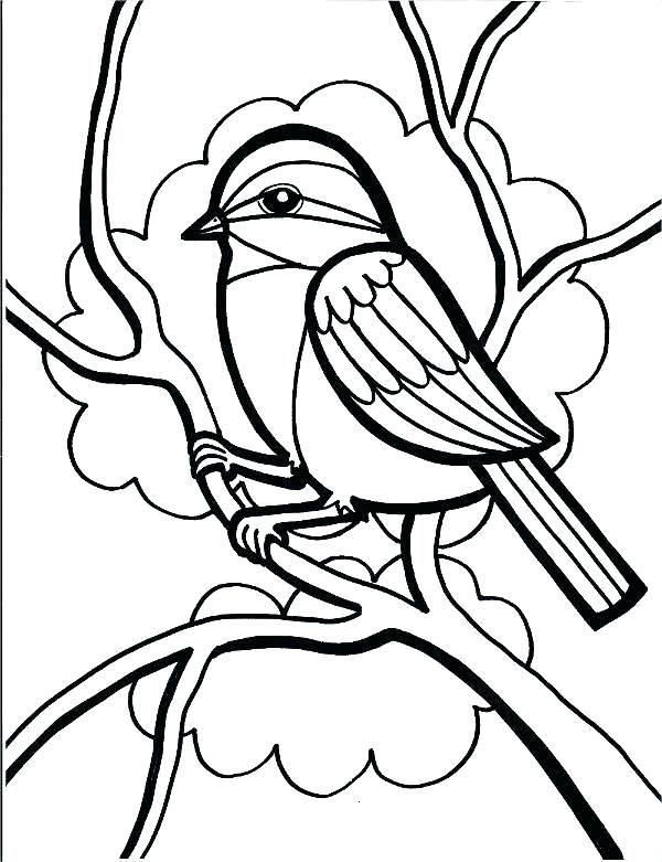 600x781 Red Cardinal Bird Coloring Page Red Angry Bird Coloring Pages