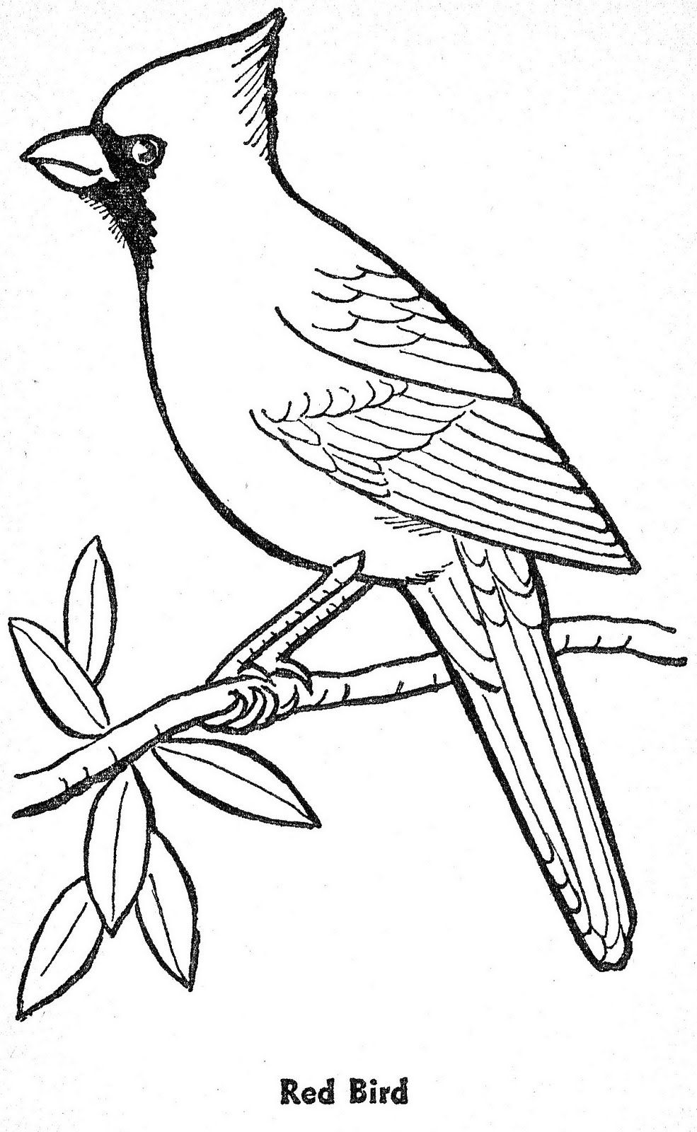 985x1600 Template For Winter Bird Art Lesson . Januarywinter