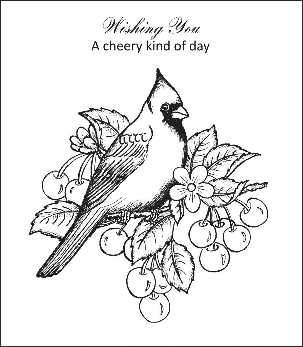 1050x1200 Cardinal Coloring Pages Red Bird Page Baseball Saint Louis St