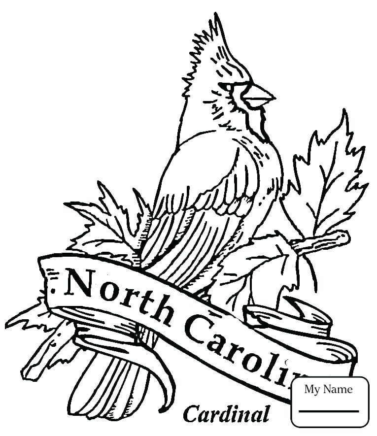 765x885 Cardinal Coloring Pages Winter Colouring Pages Coloring Page Free