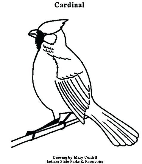 477x550 Cardinal Bird Coloring Page Blue Jay Coloring Page Cardinal Bird
