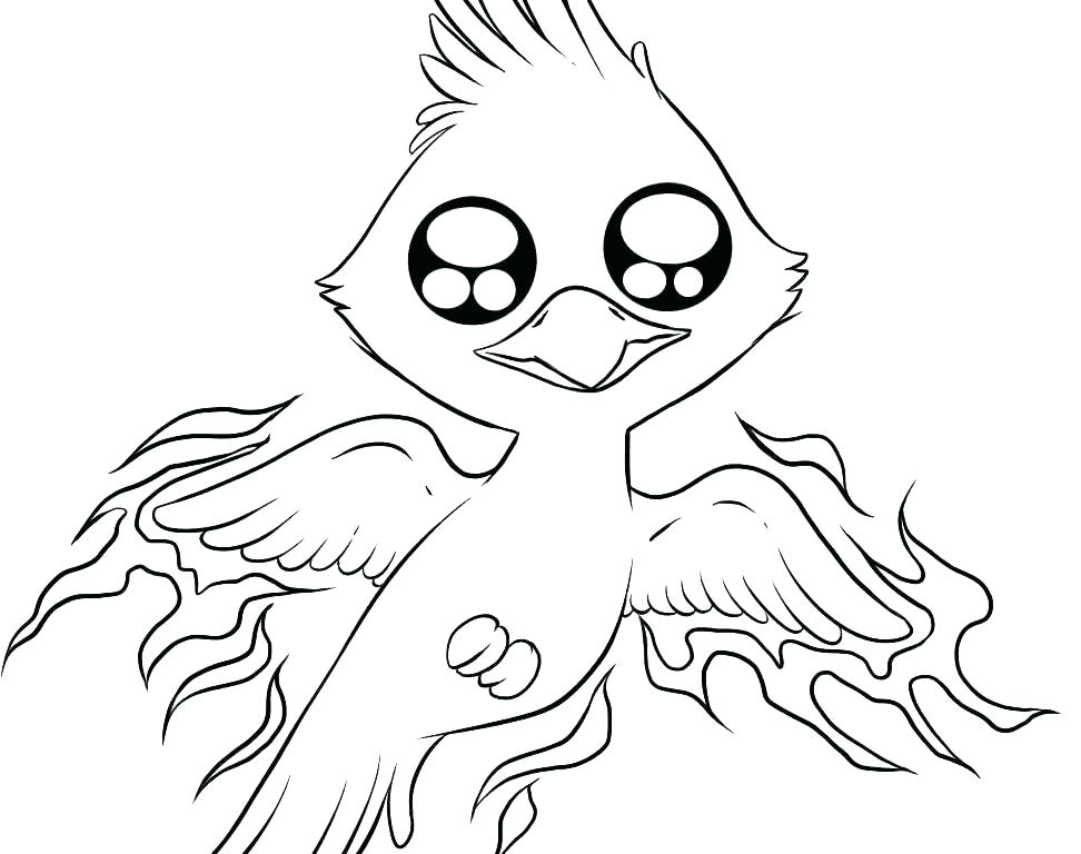 972x768 Cardinal Bird Coloring Page Epic Realistic Bird Coloring Pages