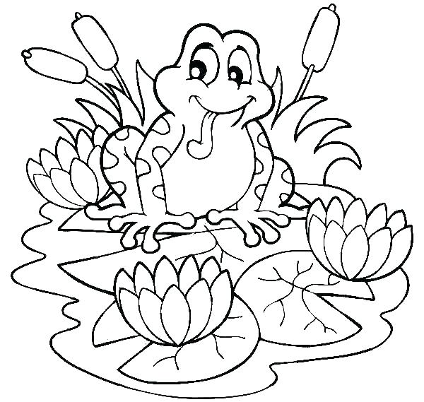600x569 Lotus Flower Coloring Page Lotus Flower Coloring Page Frog