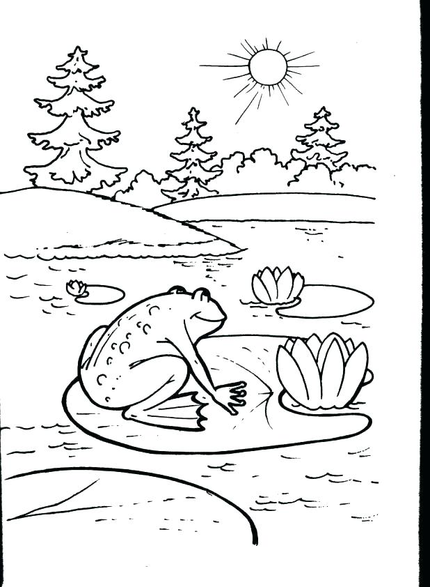 618x842 Red Eyed Tree Frog Coloring Page Coloring Pages Frogs To Frog Red