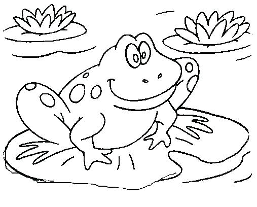 507x408 Coloring Page Of A Frog Coloring Pages Of Frogs Frog Color Page