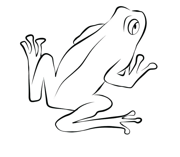 736x644 Coloring Page Of A Frog Printable Frog Coloring Pages Frogs