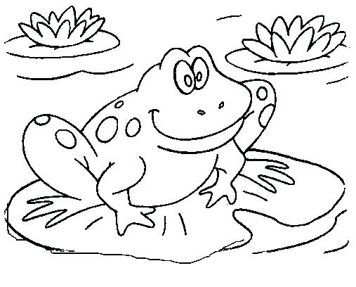 507x408 Frog Color Page Printable Frog Pictures Kids Coloring Kids