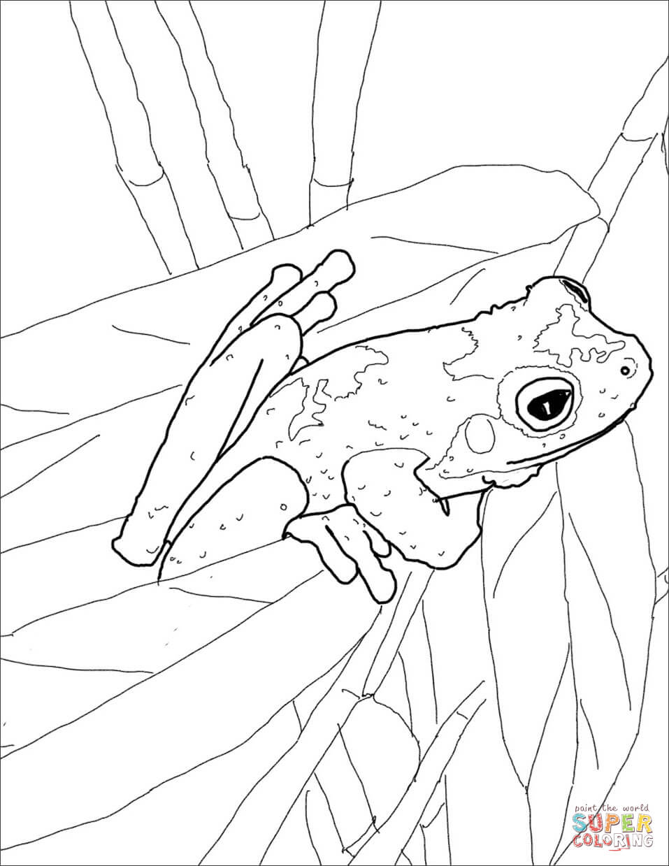 957x1239 Inspiration Red Eyed Tree Frog Coloring Page