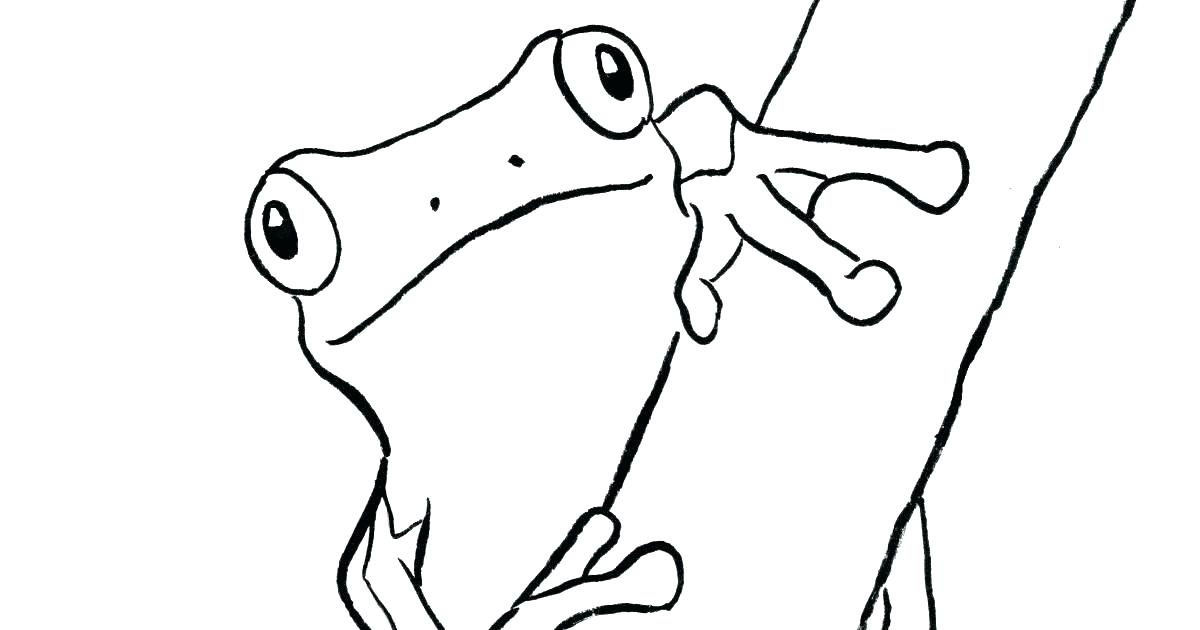 1200x630 Printable Frog Coloring Pages Red Eyed Tree Frog Coloring Page