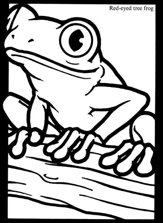 528x720 Ranita Vitral Frogs, Mosaics And Stenciling