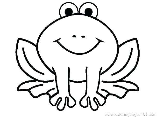 650x483 Tree Frog Coloring Page Tree Frog Coloring Page Frog Coloring