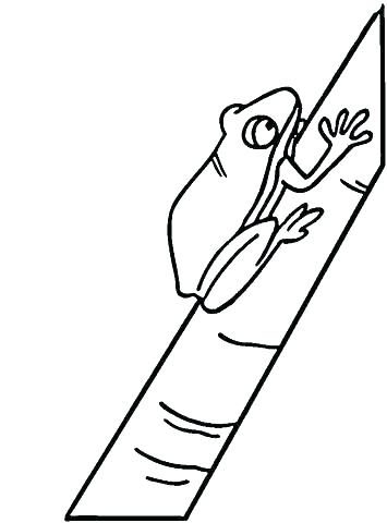 355x480 Coloring Red Eyed Tree Frog Coloring Page Color Free Pages. Red