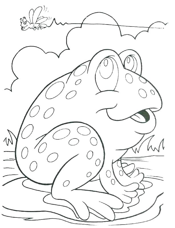 614x800 Red Eyed Tree Frog Coloring Page