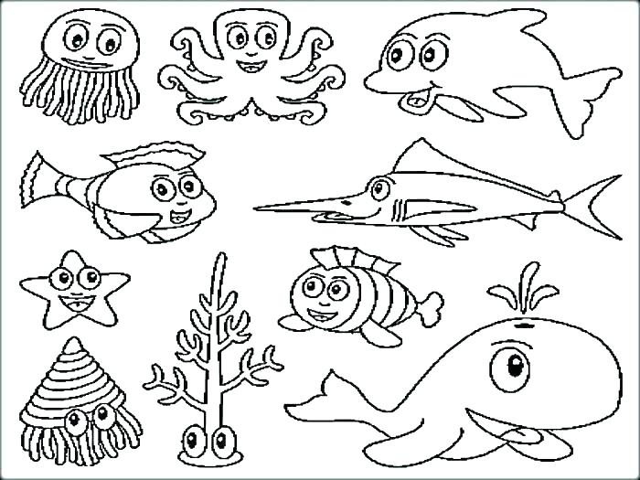 700x525 Free Printable Fish Coloring Pages Fish Coloring Pages Printable