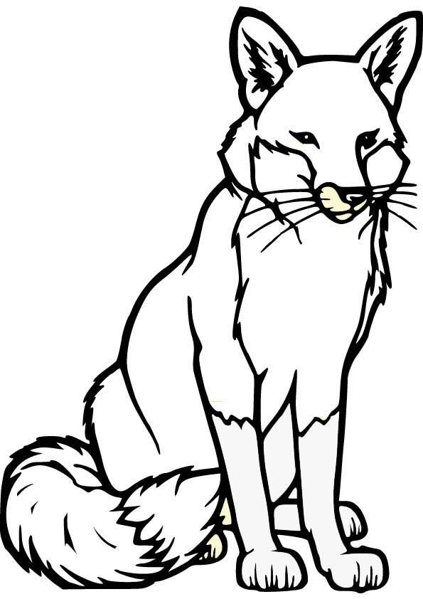 595x842 Fox Coloring Pages